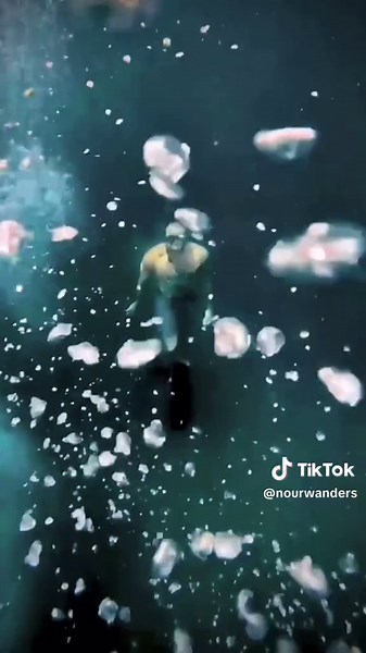 Unlocking the Phenomenal Superpower of Freediving | Meditation and Connection