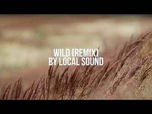 Wild (Remix) - Local Sound (lyric video)