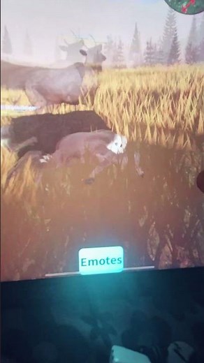 cougar hunting in Yellowstone unleashed a roblox game that is free it play!!