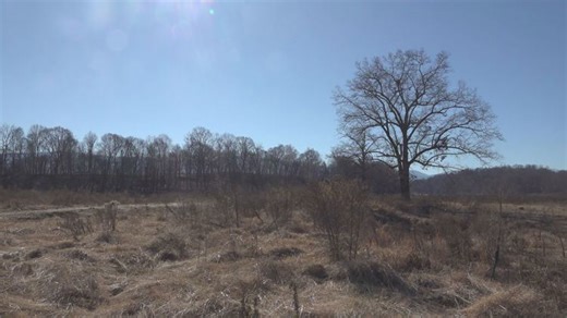 Farmers across TN can prepare to apply for $38.1M in grant agreement for agricultural losses after Hurricane Helene