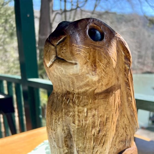 Here’s a sneak peak into the new addition at Sunrise Grocery! The Brass Monkey has found a new home I guess. He’s been missing for some time now. So Jack and his boy Jack jr will be hoppin’ around with us now! The issue is Jack Jr has got loose in the store and Jack needs some help finding him! So if you’re in help Jack find his little bunny:) | Sunrise Grocery