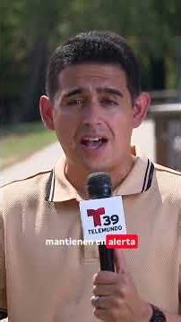 Irving Police seek help identifying attempted kidnapping suspect | Telemundo 39