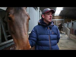 L'élevage de chevaux Riverland