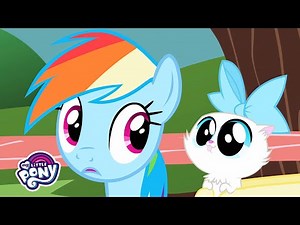 Songs | The Pet Song' Music Video | MLP Songs #MusicMonday