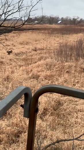 The rut it on 😈 also tiktok this does not violate your policy 😡 #southdakota #fypシ #FlexEveryAngle #FomotionalFinds #deerhunting #kansas #PrimeDayDreamDeals #arkansas #bigbucks #buck #rut #juvies #fakegun⚠️ #saskatchewan