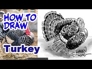 How to Draw Turkey tutorial. Step By Step using Basic Shapes How to Draw for beginners.