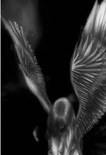 Exploring Roblox Communities: A Deep Dive