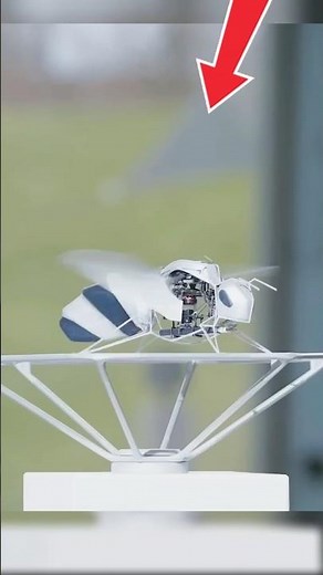This bionic bee will soon replace real Bee
