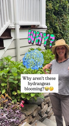 132K views · 752 reactions | If I’ve said it once I’ve said it a...