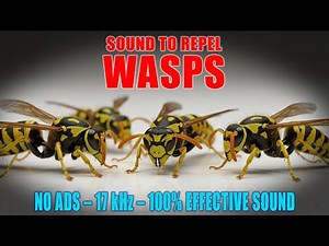 🔊 SOUND TO REPEL WASPS 🚫🐝 | 100% EFFECTIVE ULTRASONIC REPELLENT