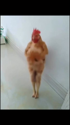 2K views · 22 reactions | Phoenix ASMR on Reels | Facebook