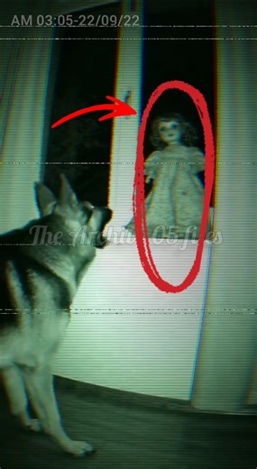 I threw this doll away yesterday... 🗑️😰