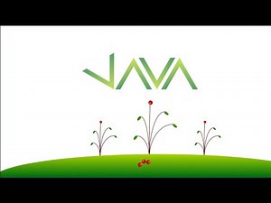 User Input: Java 11 For Complete Beginners 028