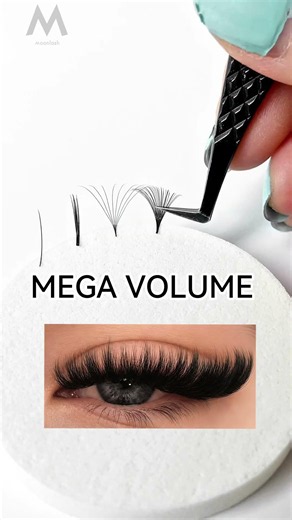 ✨ 6 lash styles. 6 different vibes. 👀💕Which lash style is your signature look?🤍