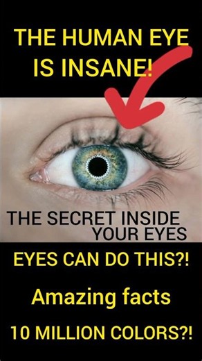 👁️Amazing facts about the human eye | USA 🇺🇲 #trendingeye