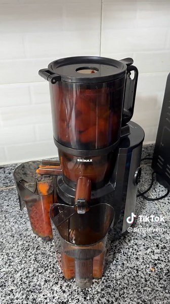 Brinax 3 in 1 Slow Juicer: Citrus & Ice Cream Maker