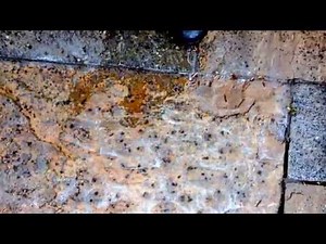 Using our Patio black spot remover for natural stone, on Indian Sandstone, filmed in real time