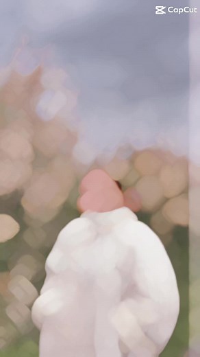 Lan Anh trên TikTok