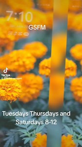 We are open this week on Tuesday and Thursday! We hope you have a beautiful week of freedom and liberty and hope everything you eat is farm fresh. #smallbusinessbigdreams #4thofJuly #4THOFJULYWEEKEND #farming #springfieldmissouri | Greater Springfield Farmers' Market