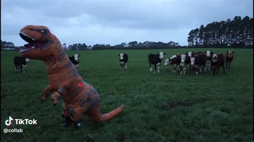 Lₑᵣₓₛₜ (@alexlifesonlerxst)’s videos with Nazgul Theme - Ringwraiths (The Lord Of The Rings) - Epic Version - Krutikov Music