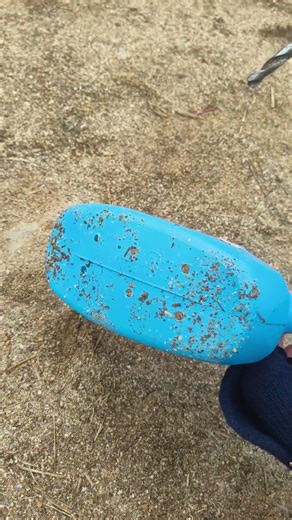 Renovation of Plastic Bottles for Waste Utilization #tips #diy #tools #flowers #shorts