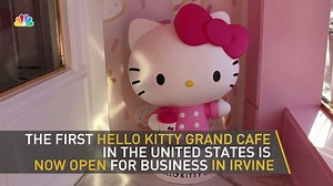 109K views · 1.4K reactions | Grab your cat ears!  The U.S.'s first...