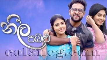 Neela Pabalu (1540) - 31-05-2024 - Col3neg