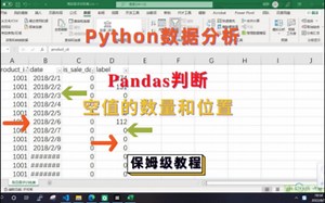 Python中pandas判断空值的数量和位置