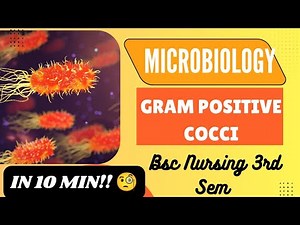 GRAM POSITIVE COCCI || Microbiology || B.Sc. Nursing 3rd Sem || Exam tricks