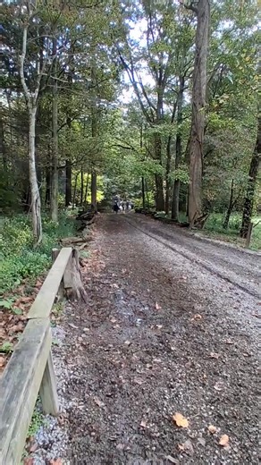 19K views · 650 reactions | Horses coming in from a ride | Cades Cove Riding Stables (The National Park's stables in Cades Cove) | Facebook