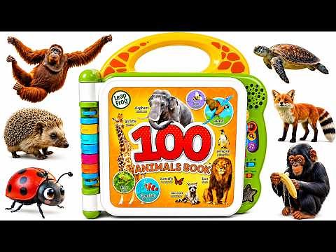 100 Animals Book | Interactive Sound Book Learning for Toddlers & Kids
