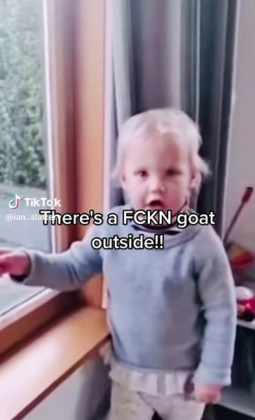 Funny Goat Videos Compilation