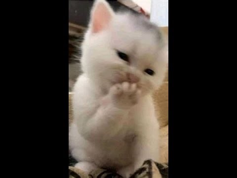 dat boi is getting work done!