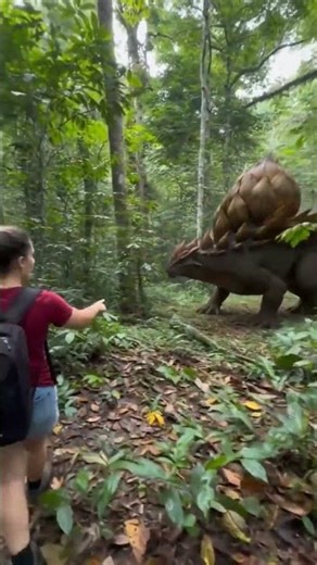 Amazonian legend: the blooming of the King is the signal for the Great Harvest to begin.