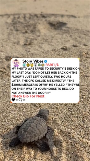 My photo was taped to security's desk on my last day, do not let her back on the floor, I just left quietly, two hours later, the CFO called me directly. The $300 million merger is off, he yelled. .-#reddit #askreddit #redditposts #redditstorytime #reels #aïta #aita | Horror-Stories