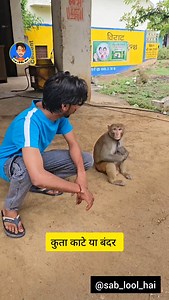 45K views · 7.9K reactions | आज तो निपट जाते  #sabloolhai #funny #monkey #rescue | Keshav D Artistx | Facebook