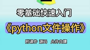 【Python文件操作】python全套教程之Python文件操作（懂中文就能学会）基于Python处理各种文件操作，从入门到实践