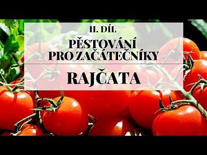 Pěstování rajčat ze semínek - Pěstování pro začátečníky 2. díl