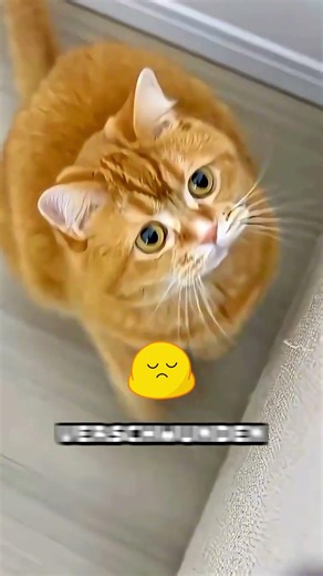 Lieblingsspielzeug verloren 🚂😭