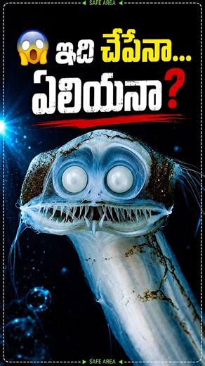 Telugu facts | Telescope Fish: The Scariest Deep Sea Fish Ever! 😨