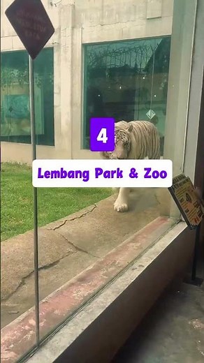 8 Destinasi Wisata Terbaik Lembang yang Wajib Kamu Coba #shorts #wisata