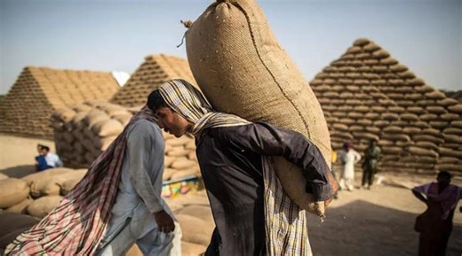 On Labour Day, daily wage workers in Pakistan share stories of survival, struggle