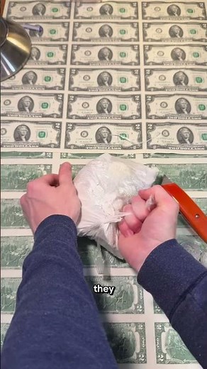 A $5700 Cocoon… Is this the best way to collect silver? Morgan dollars our dollar coins minted