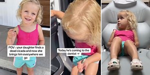 Toddler carries a dead cicada everywhere she goes—even to the dentist—and it's so sweet