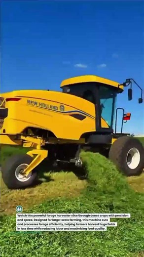 High-Speed Forage Harvester Cutting Field in Minutes 🚜🌱 #FarmTech #AgriMachines #Harvesting