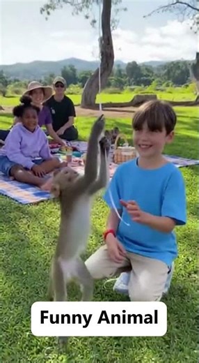 You’ve Never Seen Animal Moments Like These Before! 😂🐾 | Funny & Shocking Animal Attacks Compilation