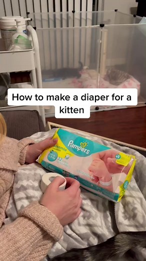 How to make a diaper for a kitten... Part 1 #lifeofapetparent #catsoftiktok #SeaShanty #HomeImprovement #cats #fosteringsaveslives #catrescue