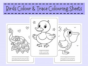 Birds Coloring Pages – Color and Trace, Kids Activity (digital Download) - Etsy