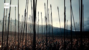 Uno dei più grandi condottieri di tutti i tempi, capace di estendere il piccolo regno paterno, la Macedonia, fino all’Egitto e all’India, ma anche uno dei personaggi più controversi della storia. È Alessandro Magno il protagonista del documentario in due puntate che Rai Cultura propone stasera #30luglio a partire dalle 21.10 su Rai Storia per #aCdC con #AlessandroBarbero. Considerato come un eccellente stratega militare, Alessandro visse una vita breve e intensa, caratterizzata da eventi drammat