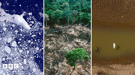 Climate change: What is it and why is everyone talking about it?